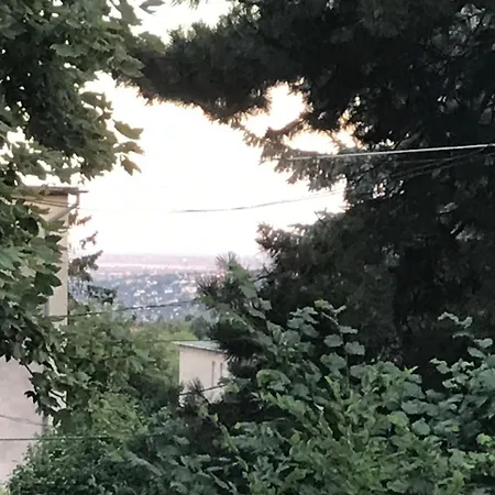 Hillside Harmony
